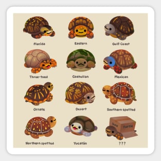 Box turtle Magnet